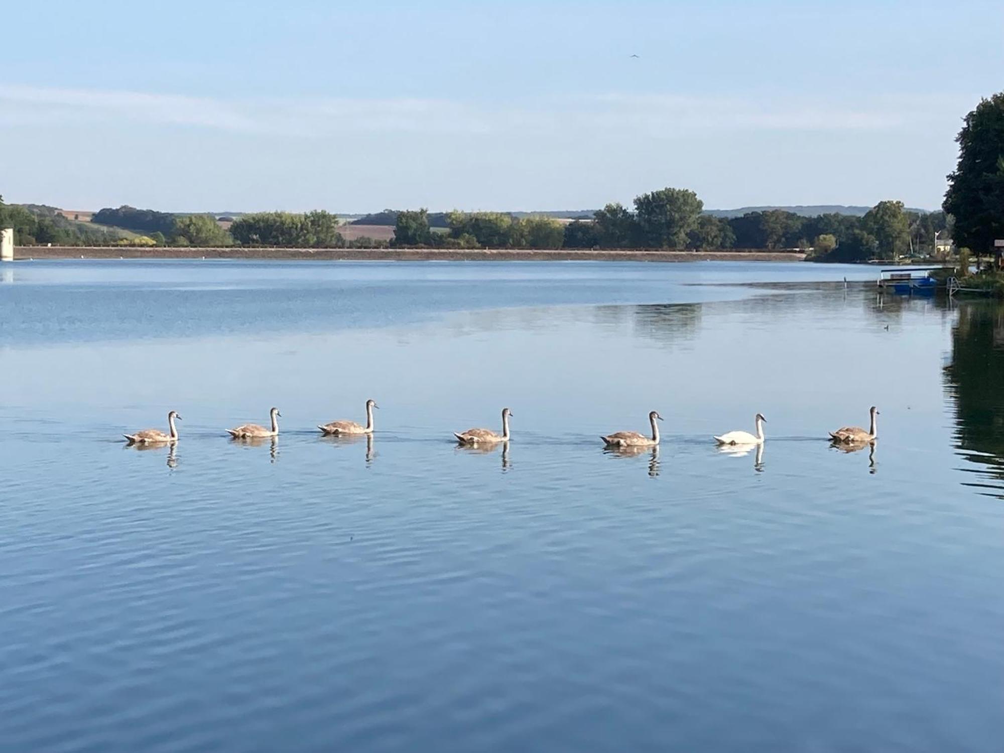 Campingfass Mit Panoramaterrasse Langenbernsdorf Eksteriør bilde